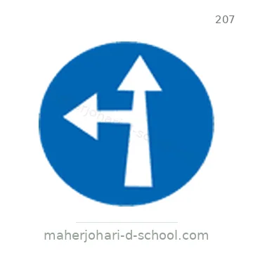 شاخصة المرور رقم 207